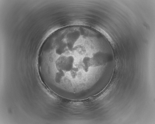 X0000115391043200911171452