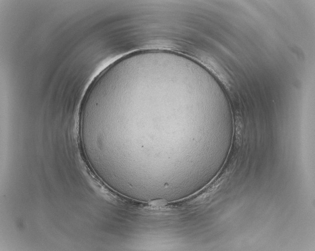 X0000115391044200911171452