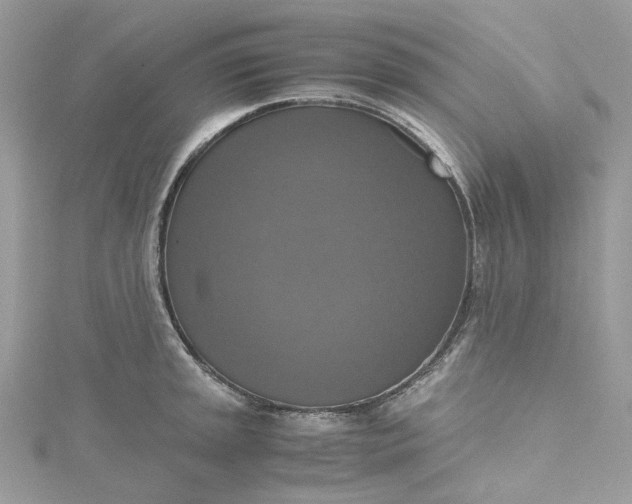 X0000115391045200911171452