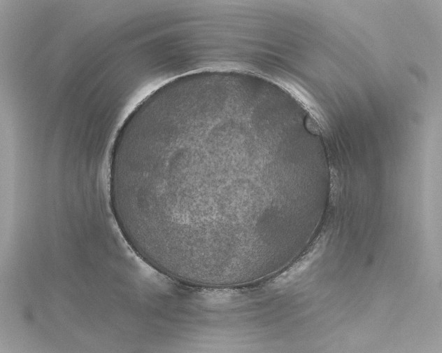 X0000115391046200911171452