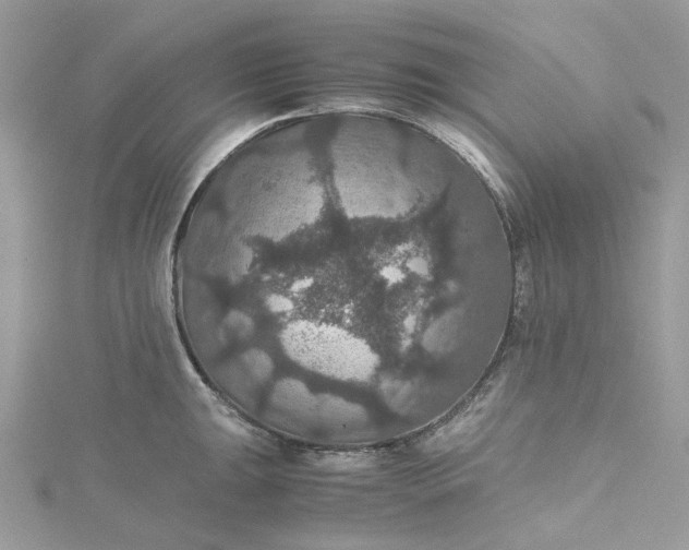 X0000115391047200911171452