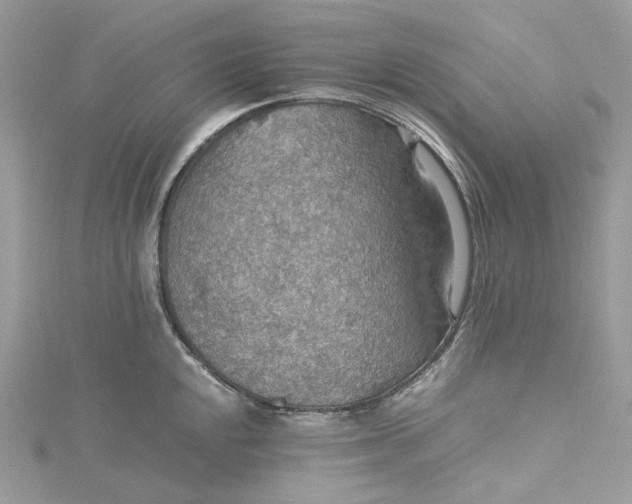 X0000115391048200911171452