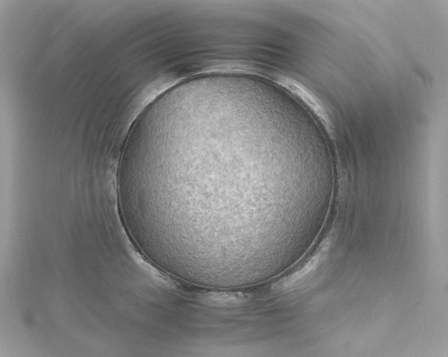 X0000115391049200911171452