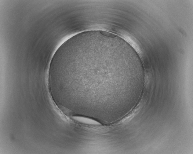 X0000115391052200911171452