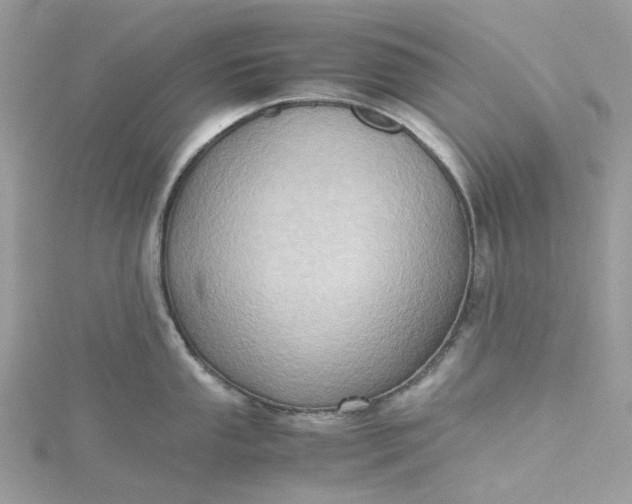 X0000115391053200911171452