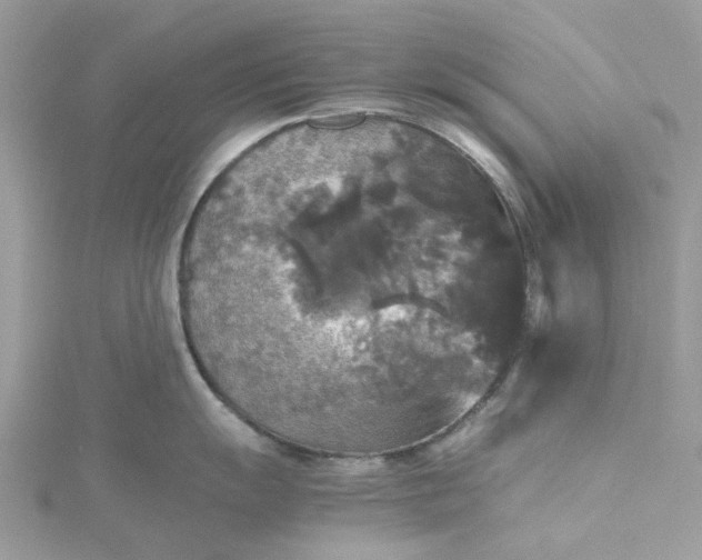 X0000115391055200911171452