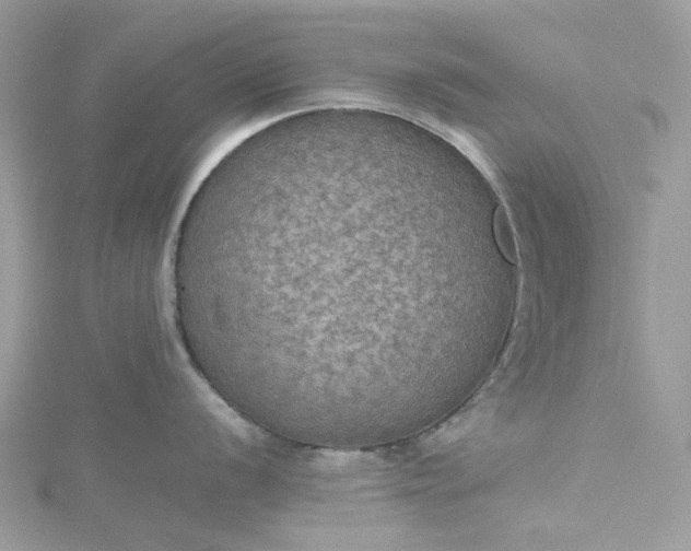 X0000115391056200911171452