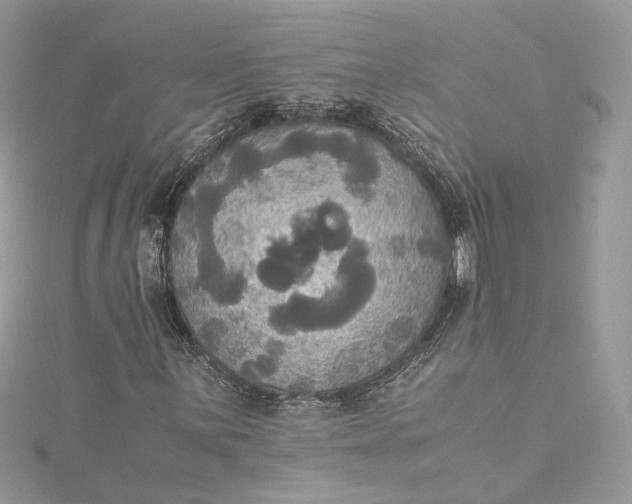 X0000115391059200911171452