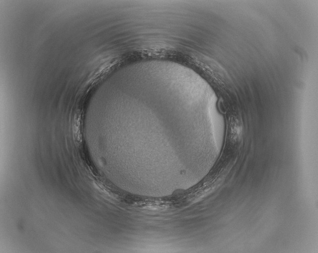 X0000115391060200911171451