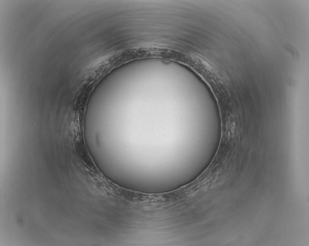 X0000115391062200911171451