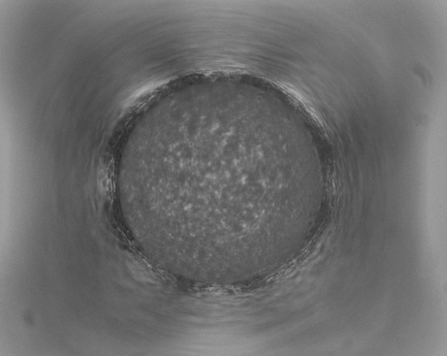 X0000115391063200911171451