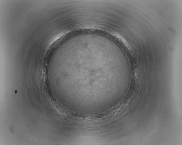 X0000115391064200911171451