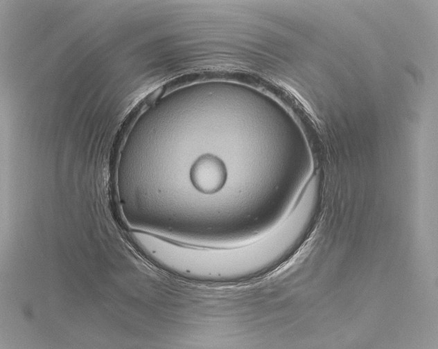 X0000115391065200911171451