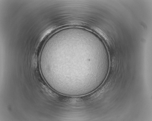 X0000115391067200911171451