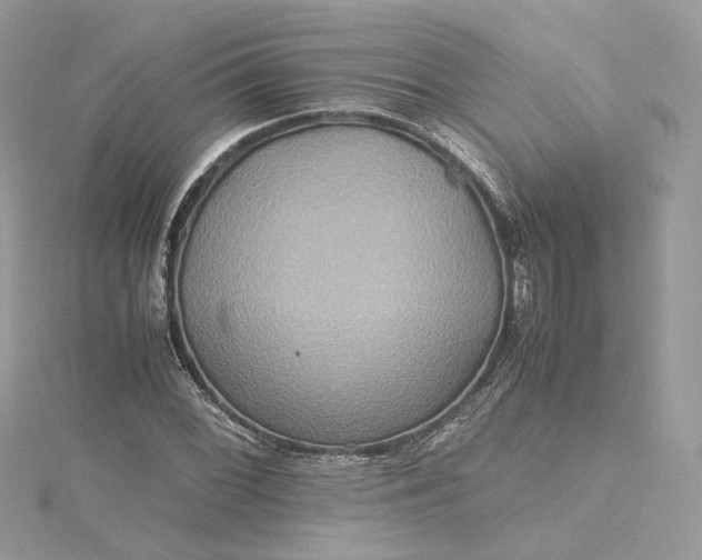 X0000115391068200911171451