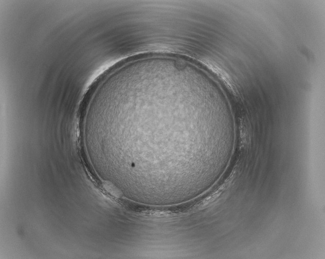 X0000115391070200911171451