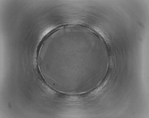 X0000115391071200911171451