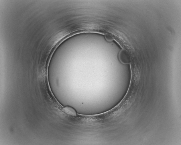 X0000115391073200911171451