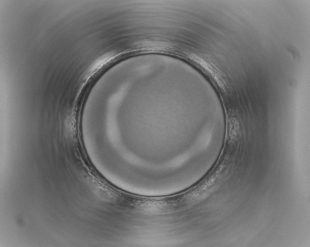 X0000115391074200911171451