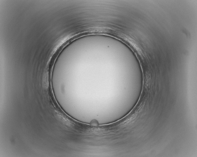 X0000115391075200911171451