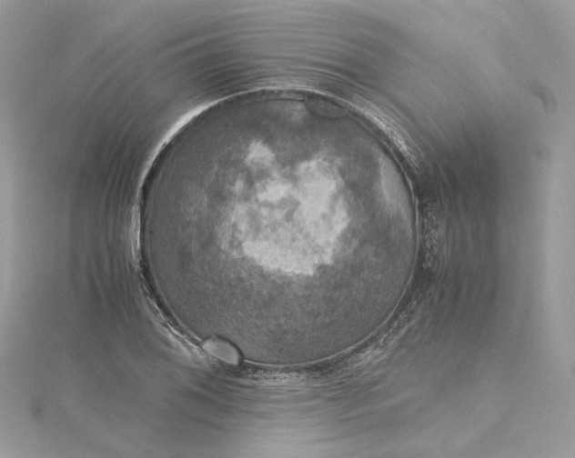 X0000115391076200911171451