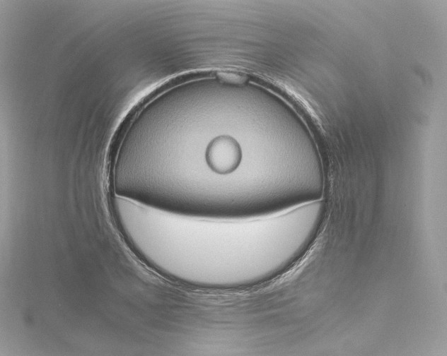 X0000115391077200911171451