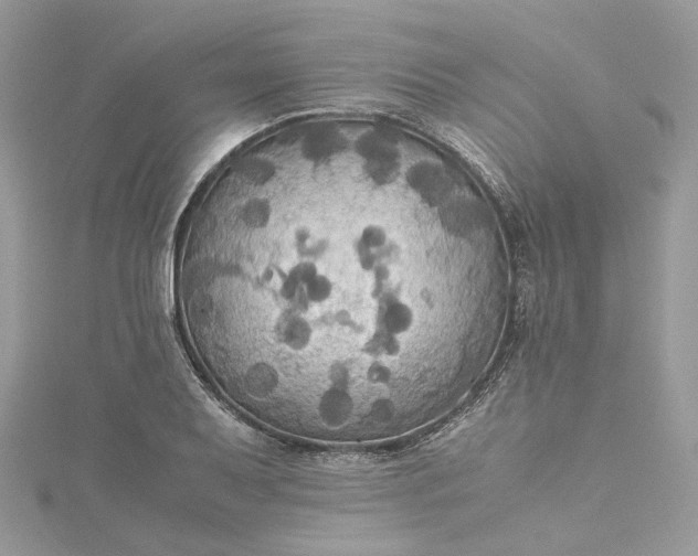 X0000115391079200911171451