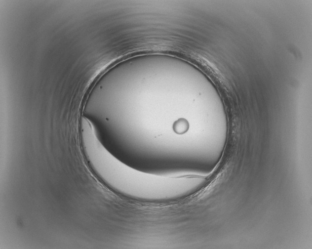 X0000115391081200911171451