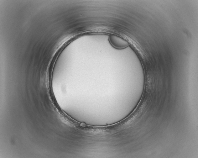 X0000115391082200911171451