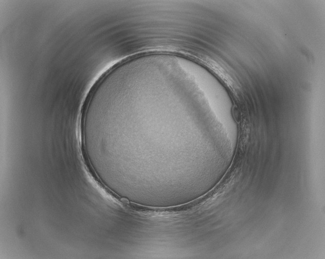 X0000115391084200911171451