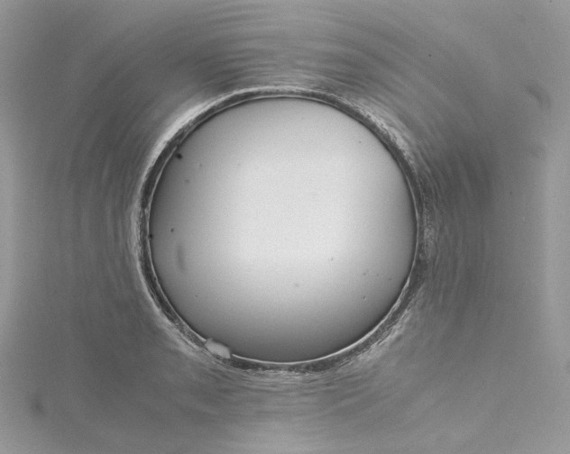 X0000115391085200911171451