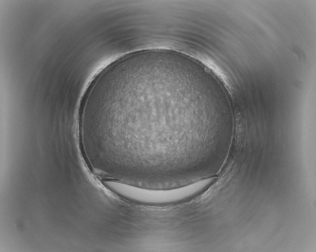 X0000115391088200911171451