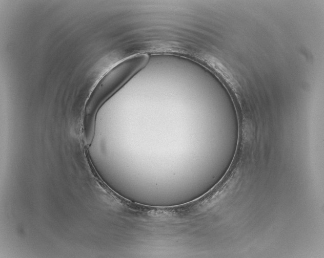 X0000115391089200911171451