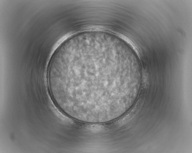 X0000115391090200911171451