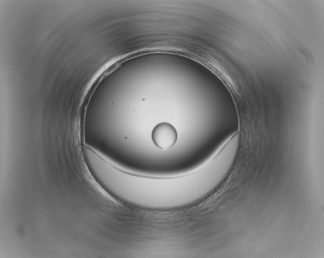 X0000115391092200911171451