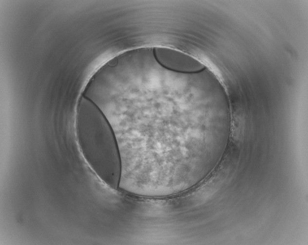 X0000115391096200911171451