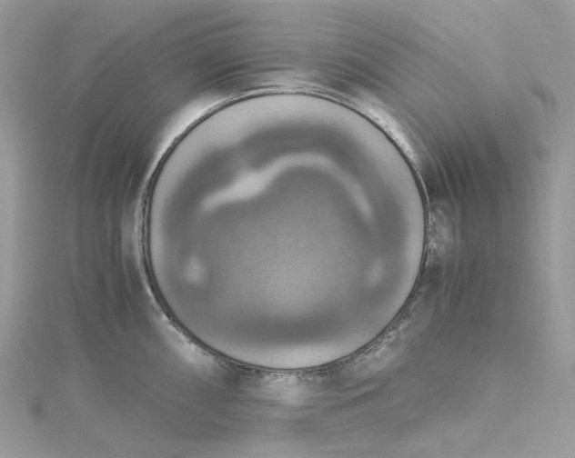 X0000115391098200911171451