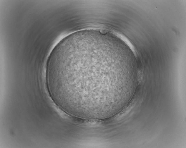 X0000115391099200911171451