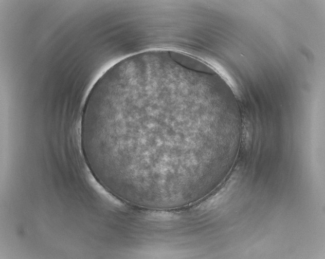 X0000115391100200911171451