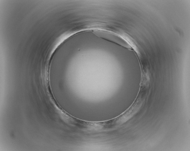 X0000115391101200911171451