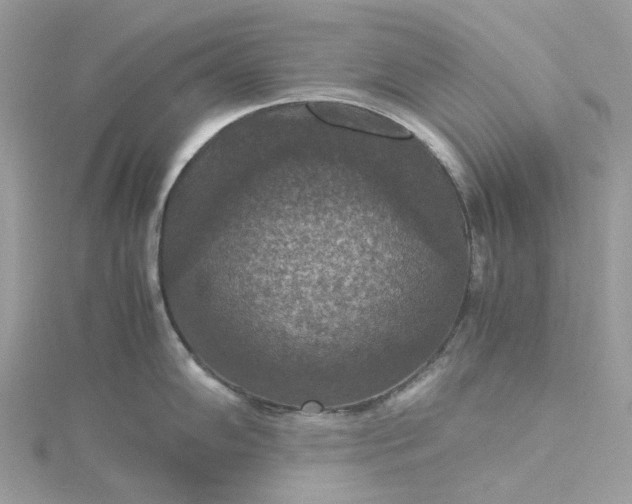 X0000115391102200911171451