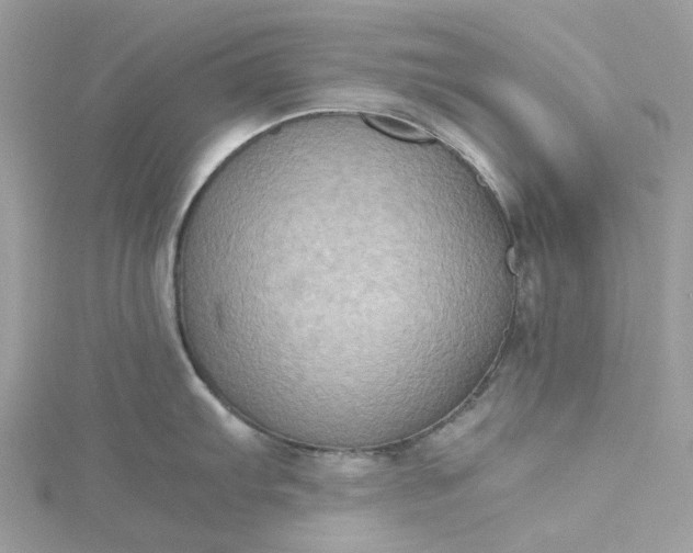 X0000115391103200911171451