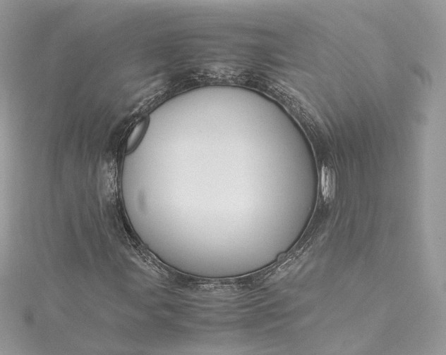 X0000115391107200911171450