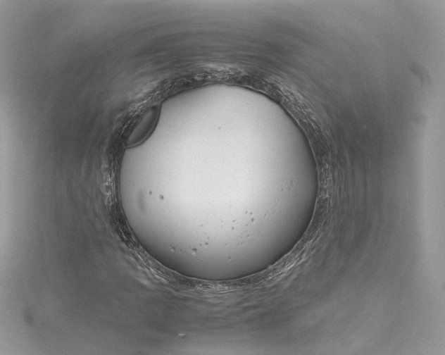 X0000115391109200911171450