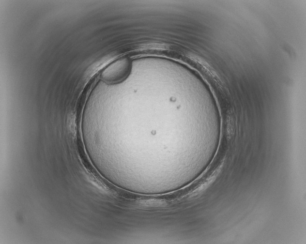 X0000115391113200911171450