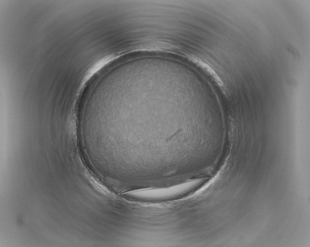 X0000115391114200911171450