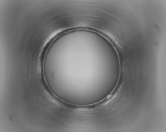 X0000115391118200911171450