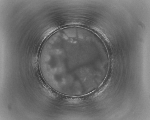 X0000115391121200911171450