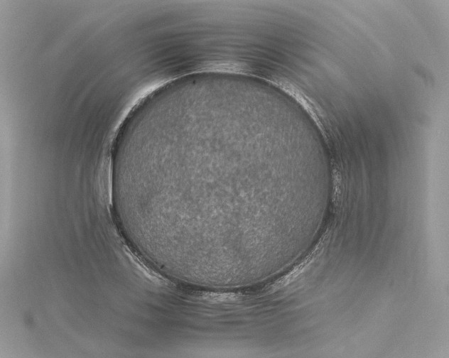 X0000115391123200911171450