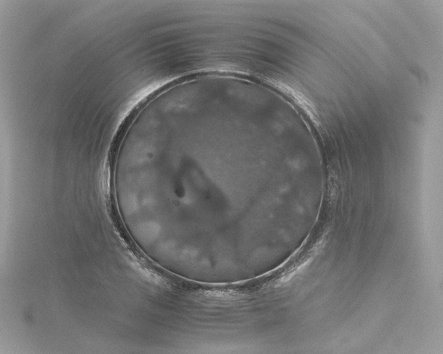 X0000115391125200911171450